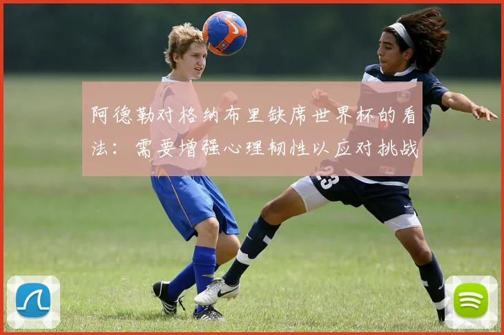 阿德勒对格纳布里缺席世界杯的看法：需要增强心理韧性以应对挑战