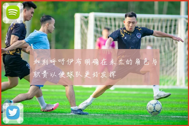 加利呼吁伊布明确在米兰的角色与职责以便球队更好发挥