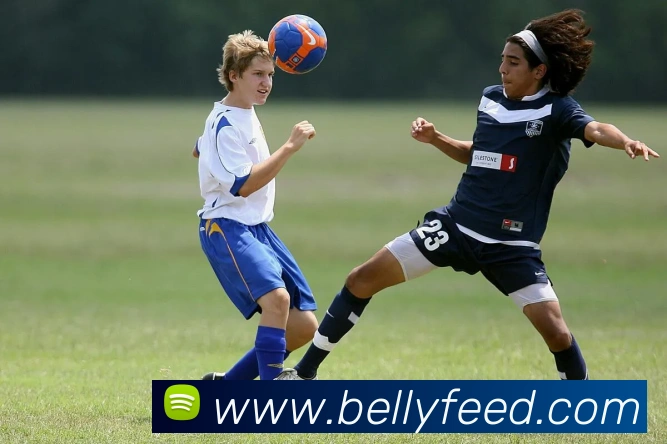 平台使命图